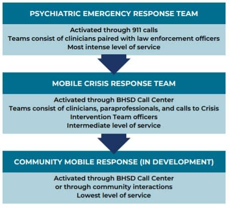 Psychiatric Emergency Response Team Chart